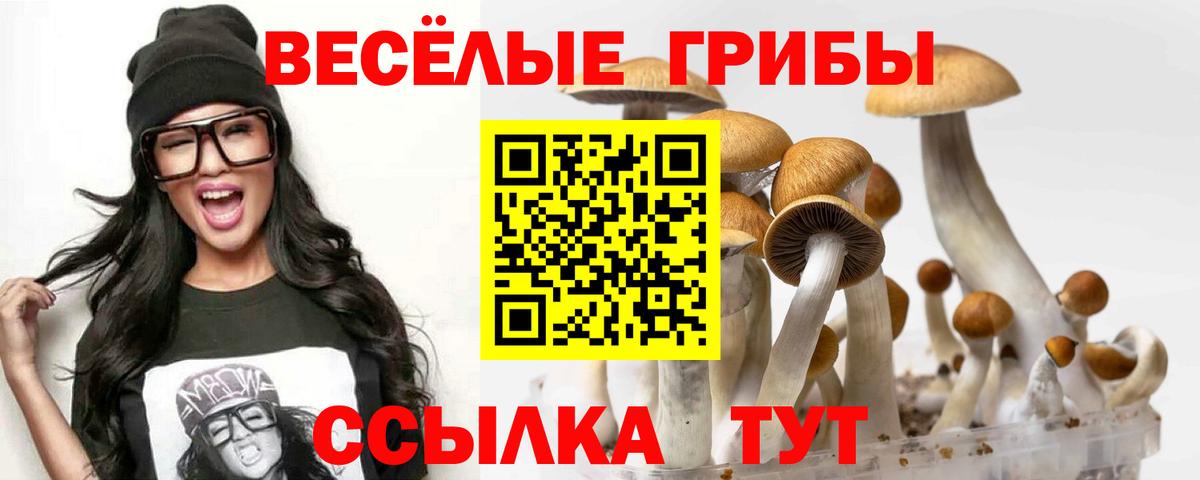 Галлюциногенные грибы Psilocybe Еманжелинск