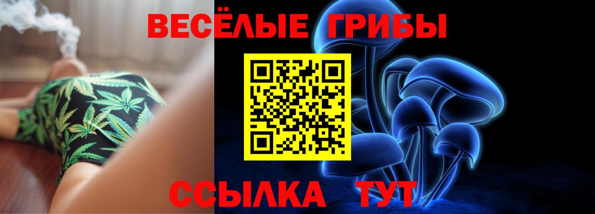 Галлюциногенные грибы прущие грибы  наркотики  Еманжелинск  Вход с VPN 
